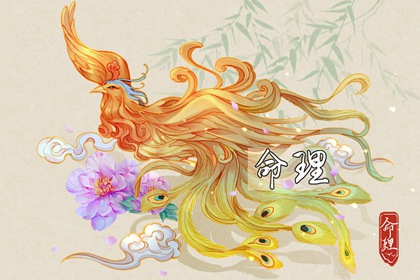 择吉皇历|老皇历|皇历查询